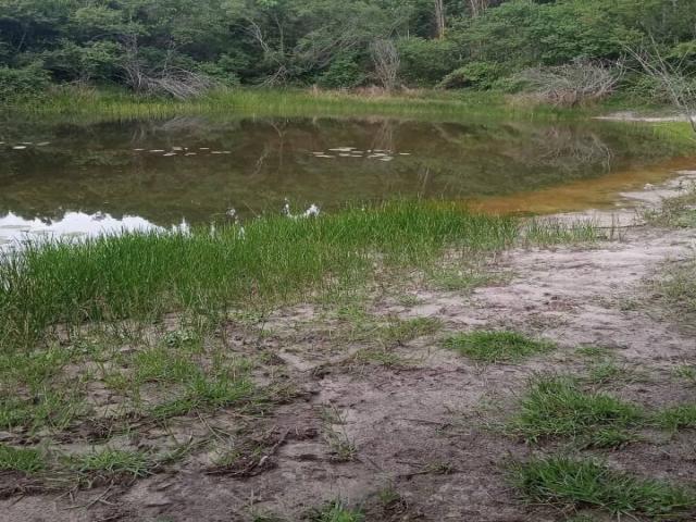 #Mercês 1.2 - Fazenda para Venda em São Gonçalo dos Campos - BA - 1