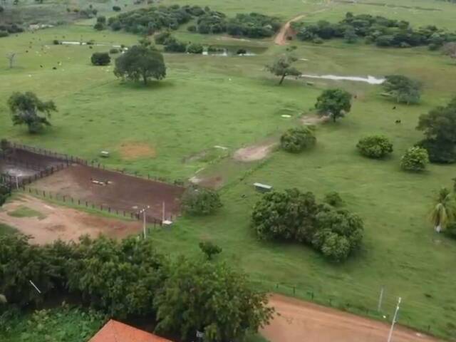 #2025Rubão - Fazenda para Venda em Barreiras - BA - 3